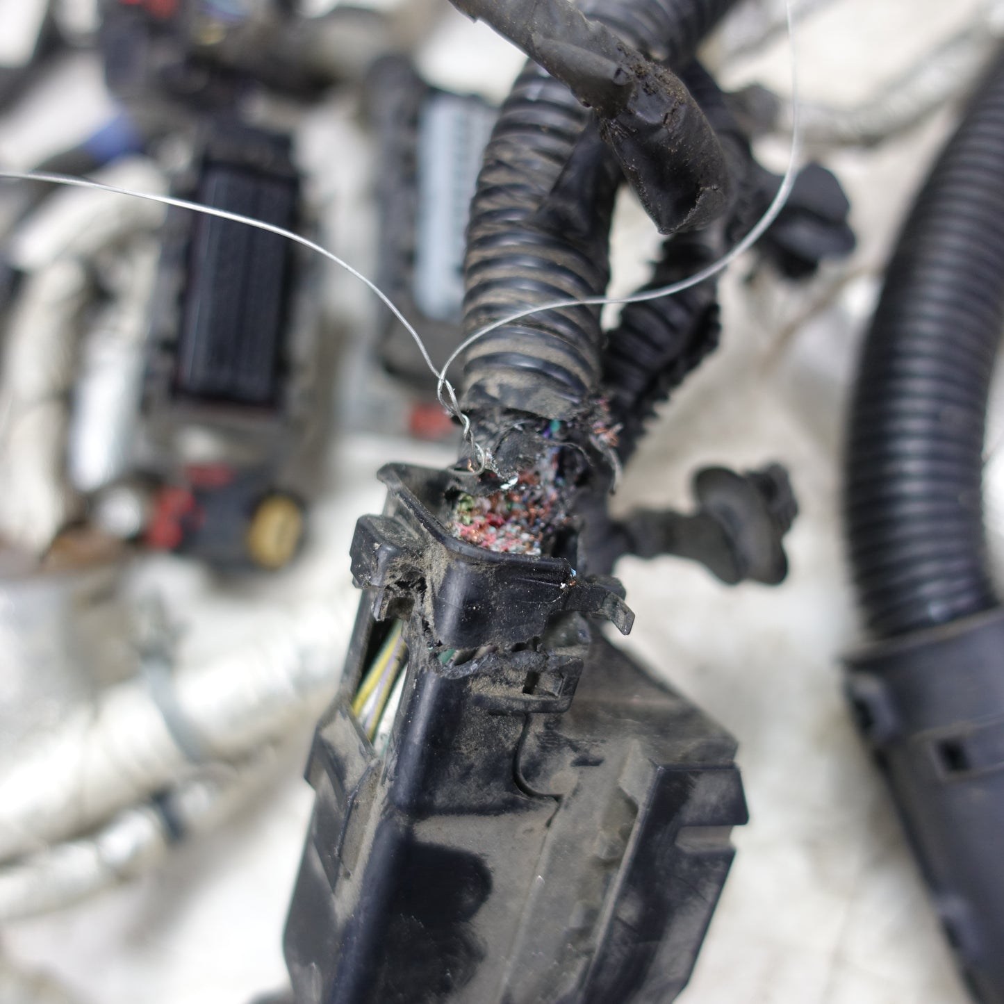 Damage 2019 Silverado Sierra 5.3L Engine Wire Harness Loom