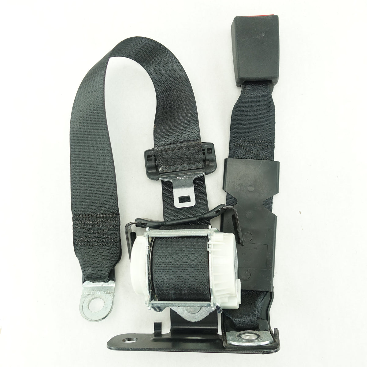 Seat Belt and Buckles