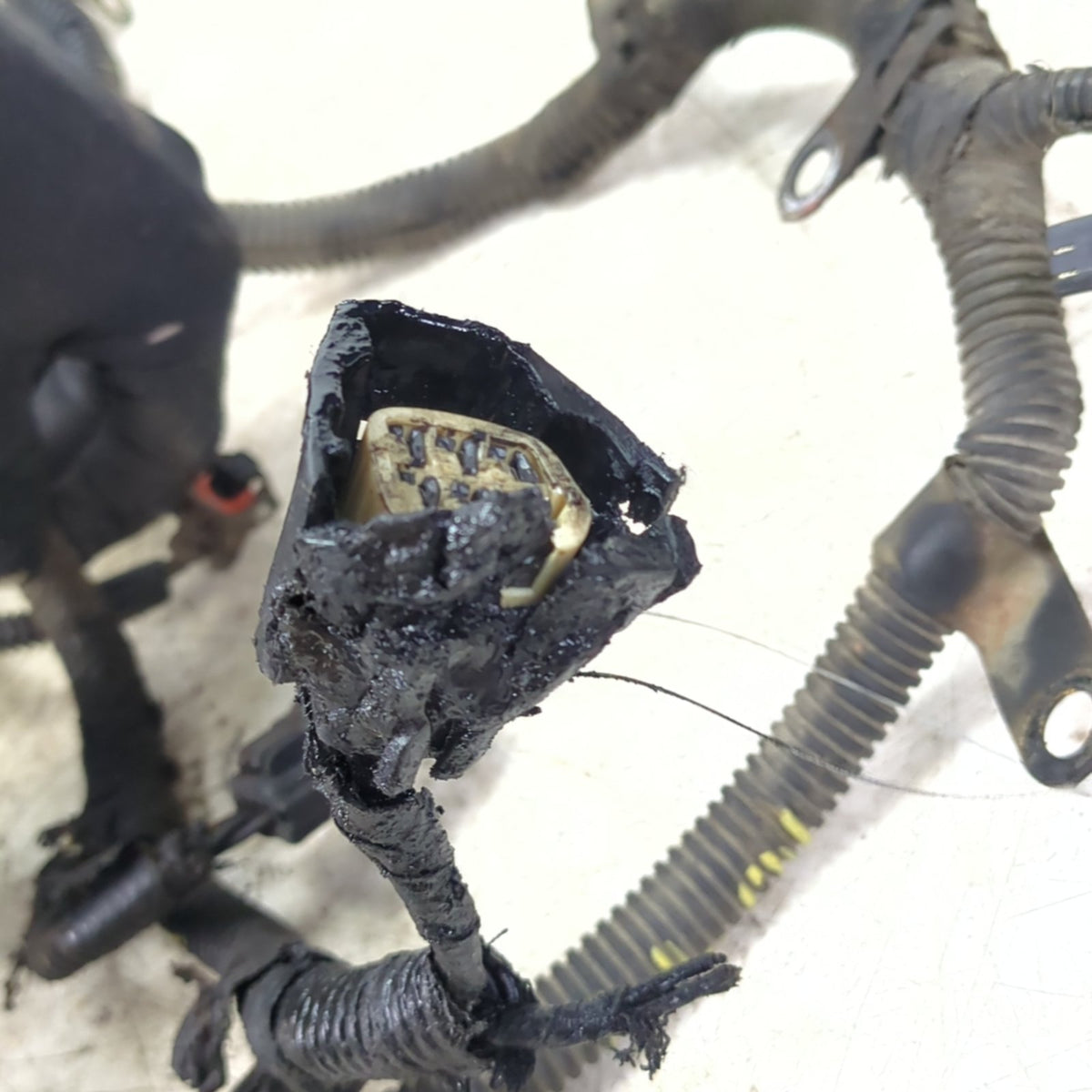 2006 Dodge Ram 2500 3500 5.9L Engine Control Wiring Harness