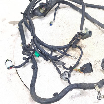 2015 2016 Ford F150 Taillight Wire Harness Wiring Loom