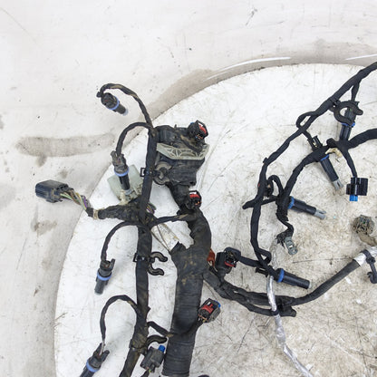 2015 2016 Ford F250 F350 6.7L Engine Wire Harness Loom