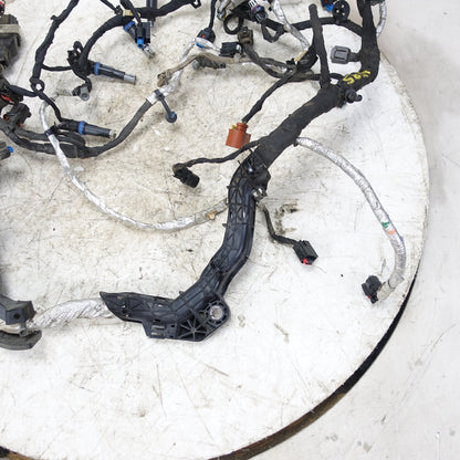 2015 2016 Ford F250 F350 6.7L Engine Wire Harness Loom