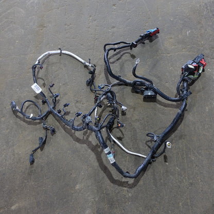 2012 Ford Focus 2.0L Engine Wire Harness Loom