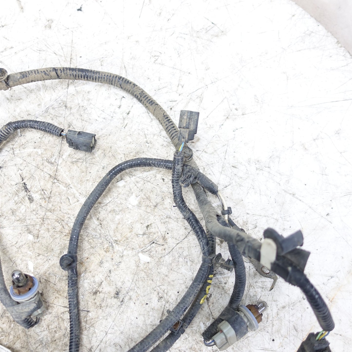 2015 2016 Ford F150 Rear Bumper License Plate Trailer Wire Harness