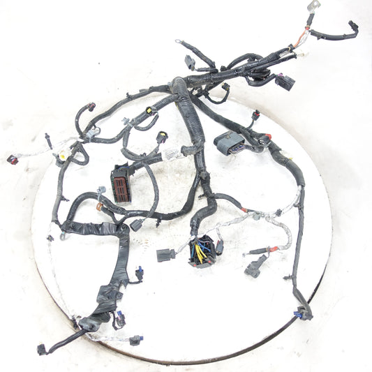 2012 2013 2014 2015 2016 2017 2018 Dodge Journey 3.6L Engine Wire Harness Loom