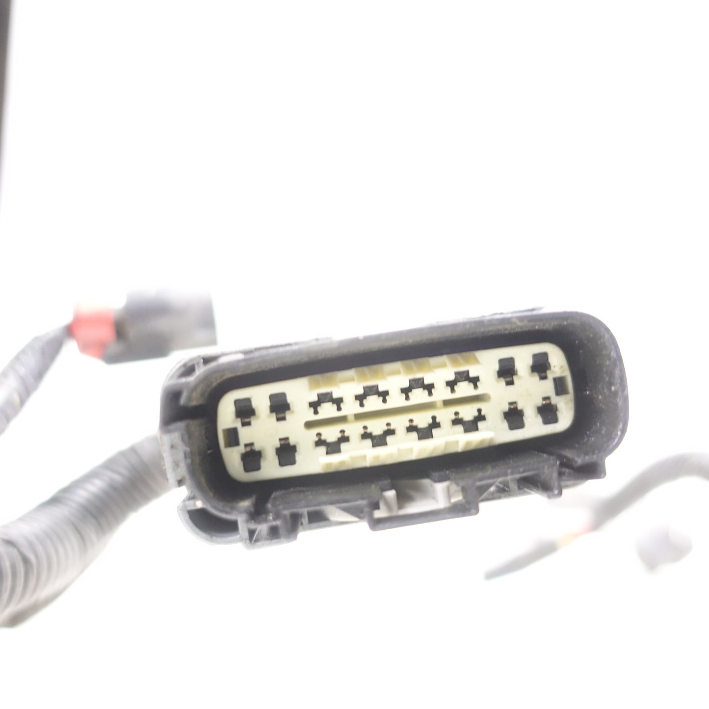 2012 2013 2014 2015 2016 2017 2018 Dodge Journey 3.6L Engine Wire Harness Loom