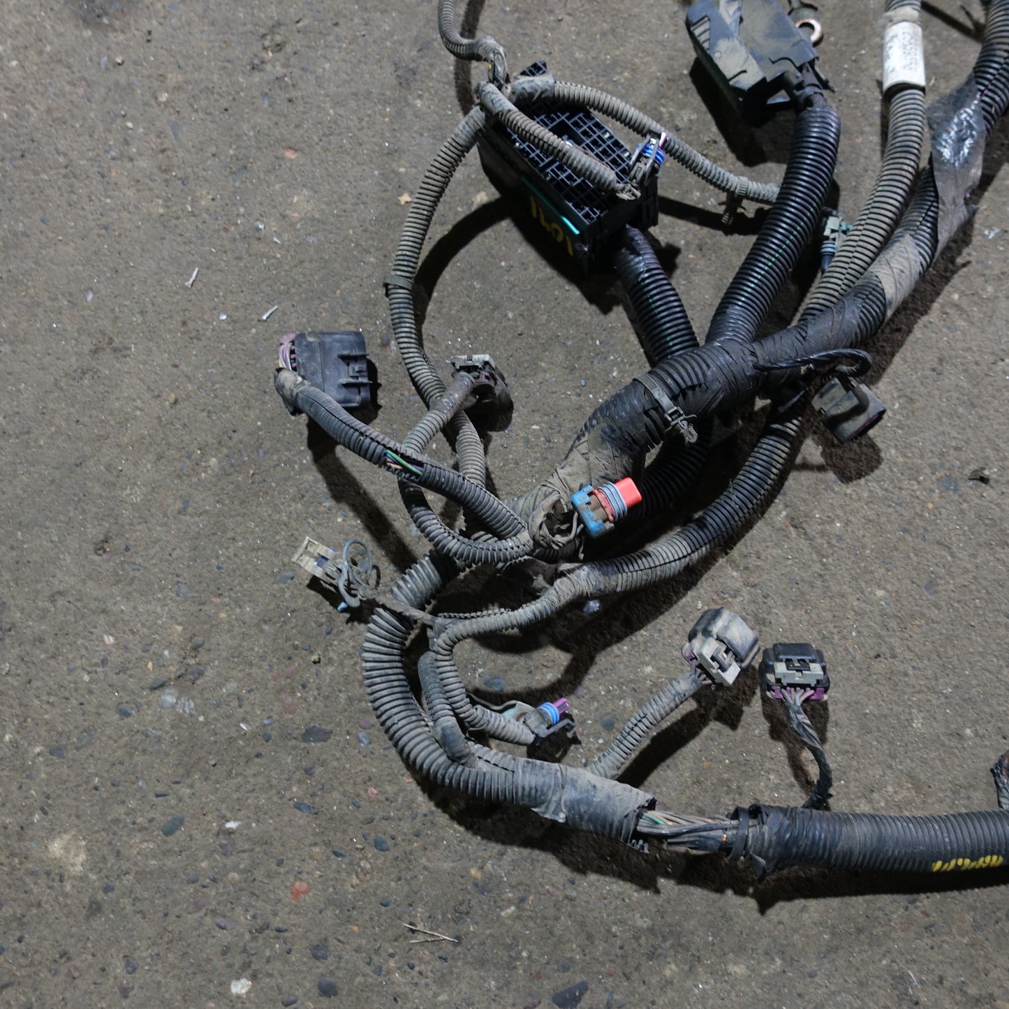 2009 2010 Chevy Cobalt 2.2L Engine Wire Harness Loom