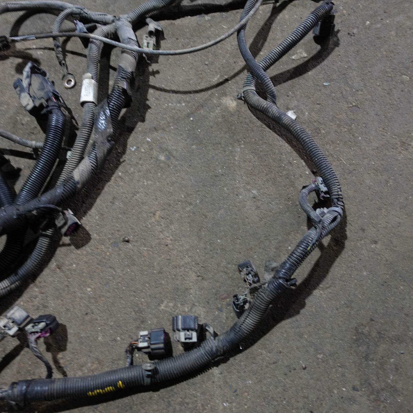 2009 2010 Chevy Cobalt 2.2L Engine Wire Harness Loom