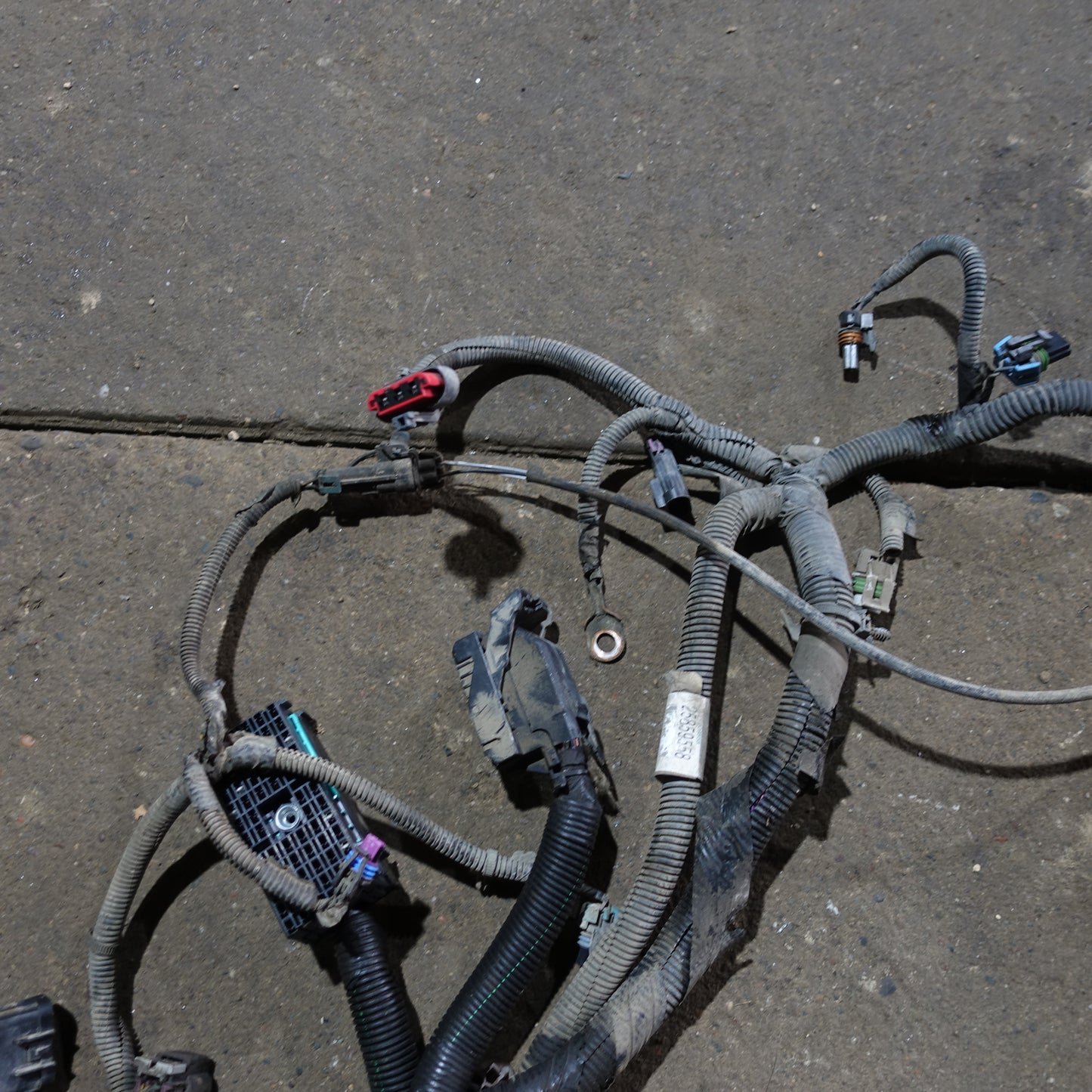 2009 2010 Chevy Cobalt 2.2L Engine Wire Harness Loom