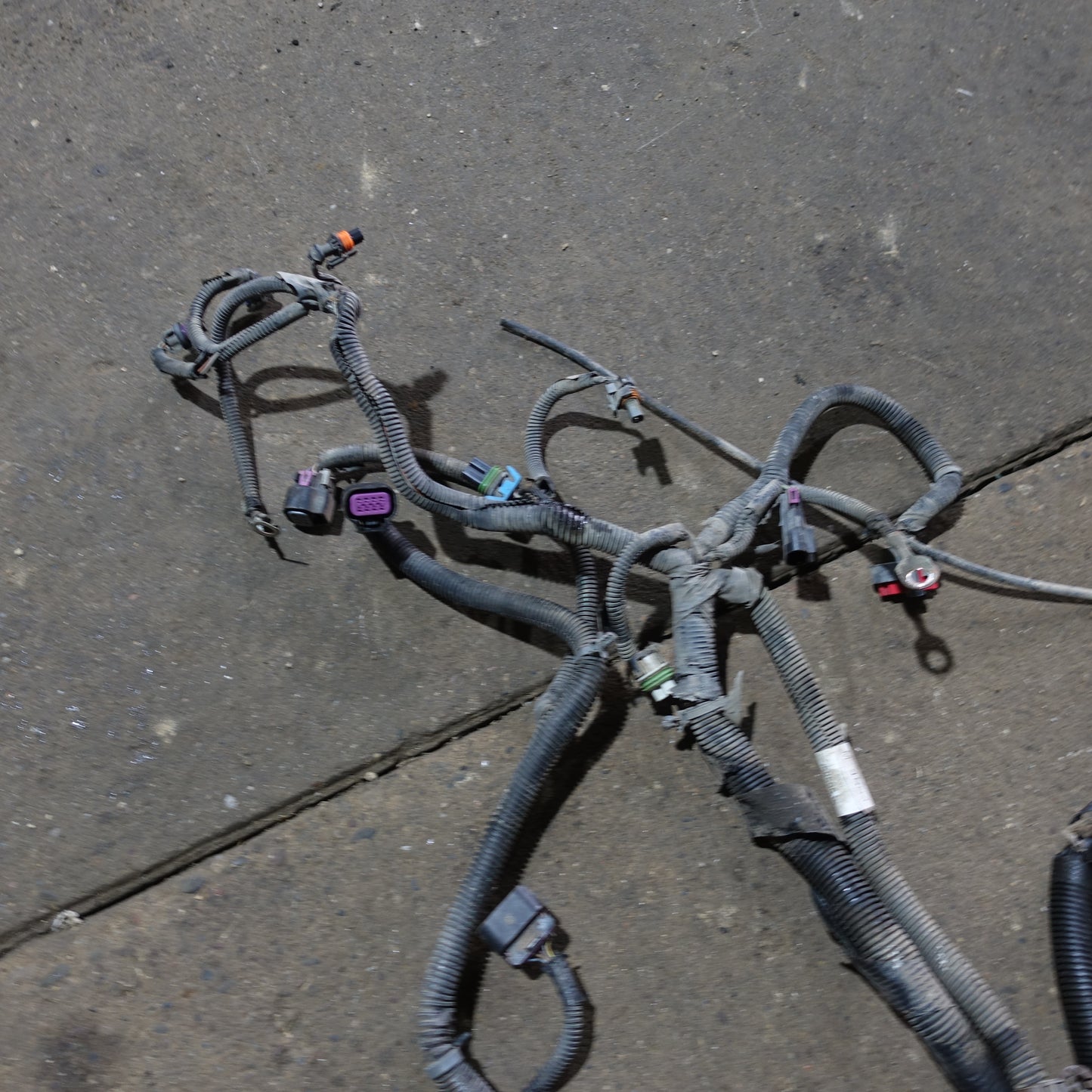 2009 2010 Chevy Cobalt 2.2L Engine Wire Harness Loom