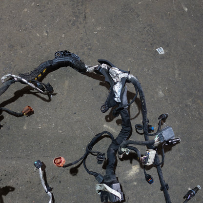 Damage 2011 2012 Ford F250 F350 F450 F550 6.7L Diesel Engine Wire Harness Loom