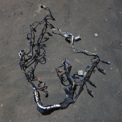 Damage 2011 2012 Ford F250 F350 F450 F550 6.7L Diesel Engine Wire Harness Loom