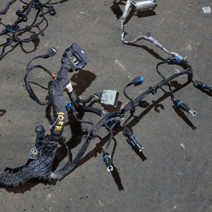 Damage 2011 2012 Ford F250 F350 F450 F550 6.7L Diesel Engine Wire Harness Loom