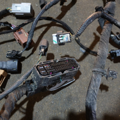 Damaged 2019 Ford F150 2.7L Engine Fuse Box Bay Wire Harness Loom