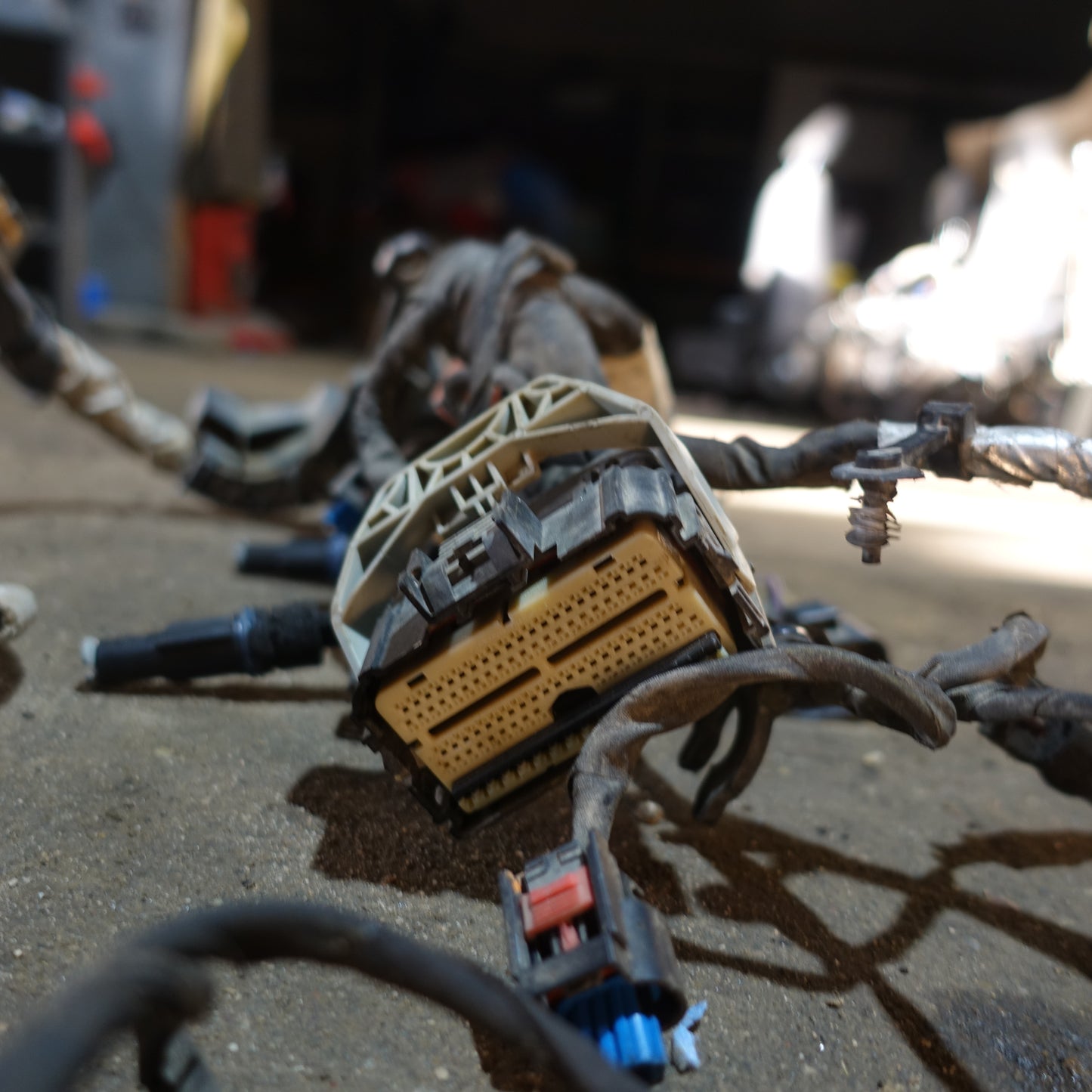 2015 2016 Ford F250 F350 6.7L Engine Wire Harness Loom