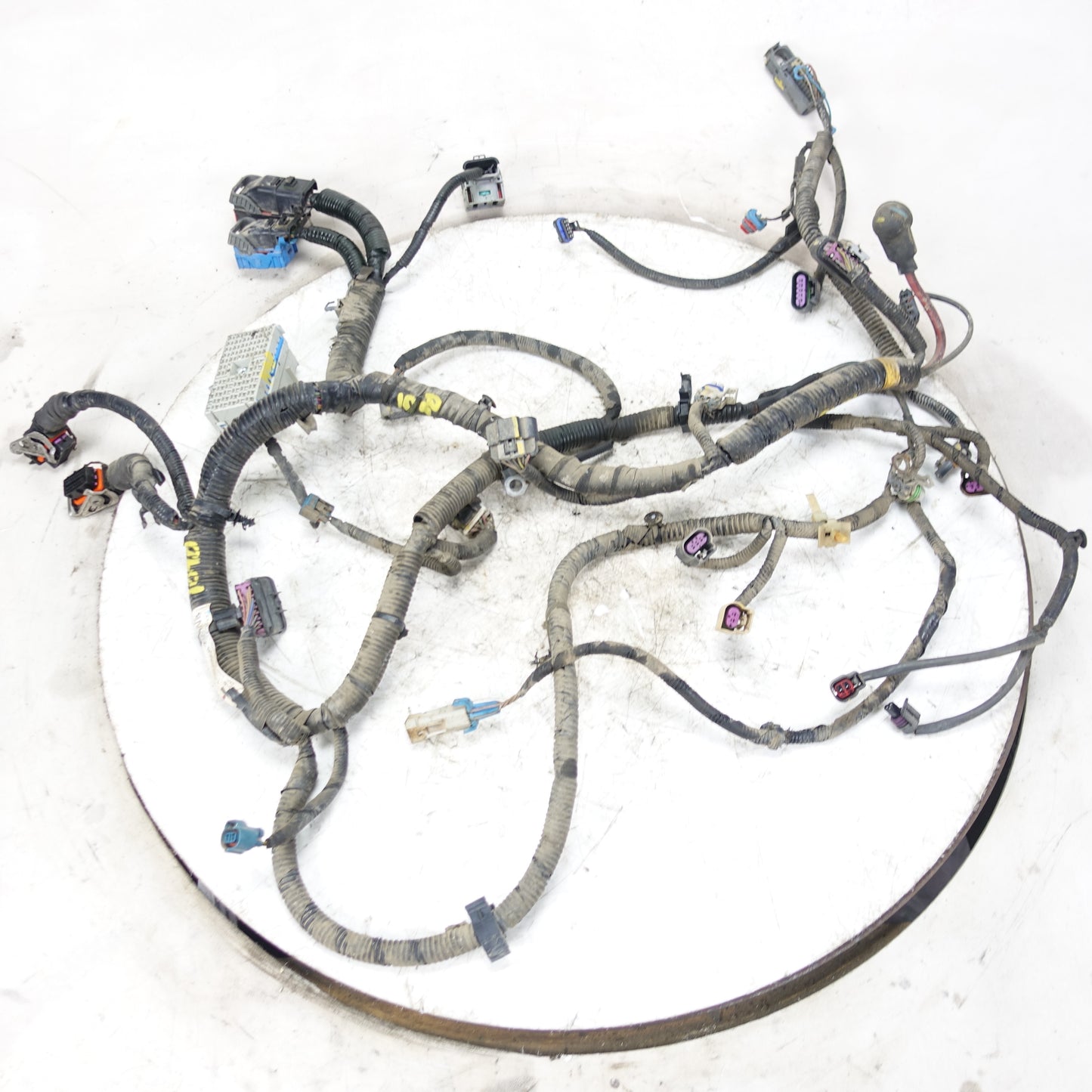 2006 Equinox Torrent 3.4L Engine Wire Harness Loom