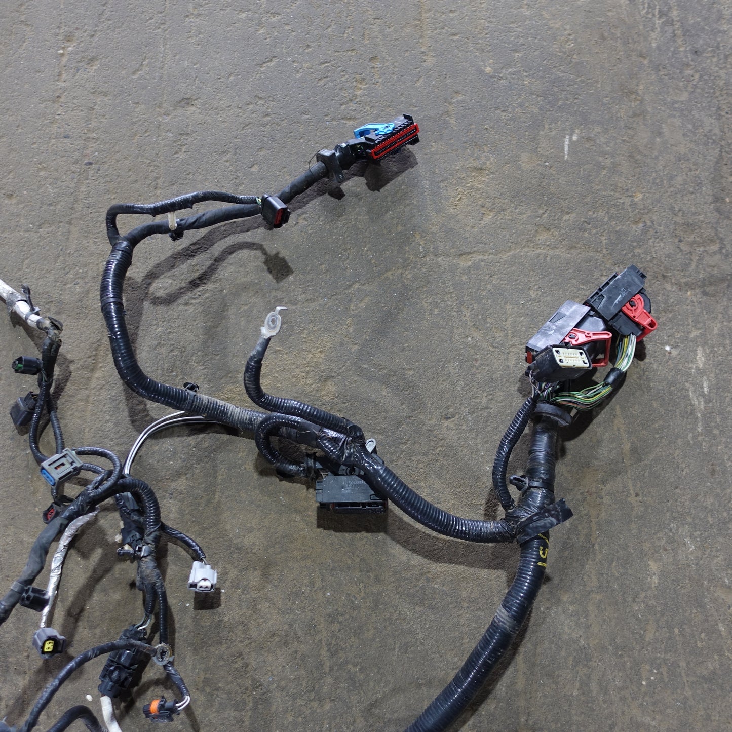 2012 Ford Focus 2.0L Engine Wire Harness Loom