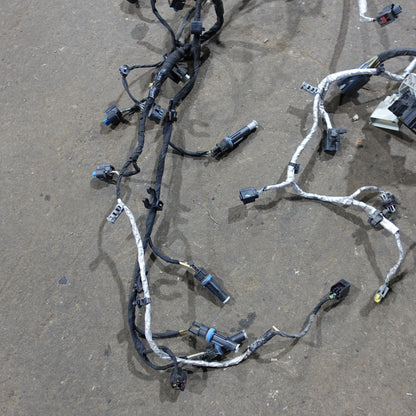 2017 2018 2019 Ford F250 F350 F450 F450 6.7l Engine Wire Harness Loom