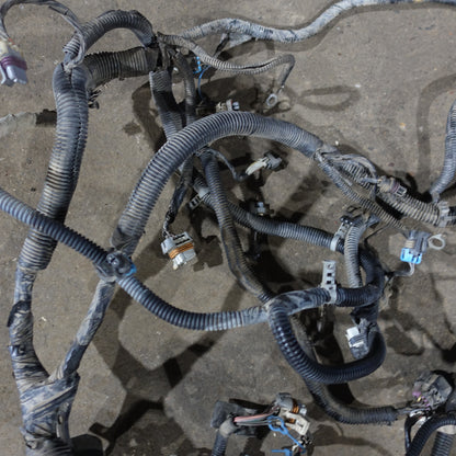 Damage 2003 Silverado Sierra 1500 HD 6.0L Engine Wire Harness Loom