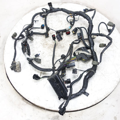 Damage 2013 2014 2015 Ford Taurus 3.5L Turbo Engine Wire Harness