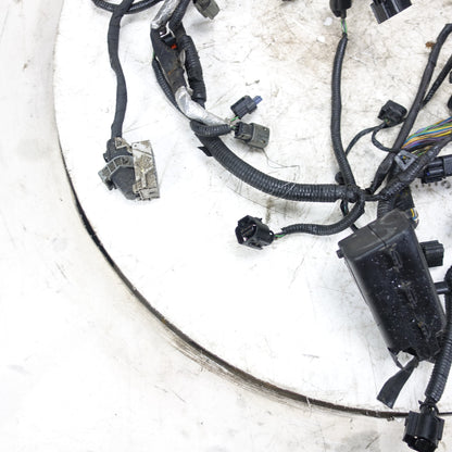Damage 2013 2014 2015 Ford Taurus 3.5L Turbo Engine Wire Harness