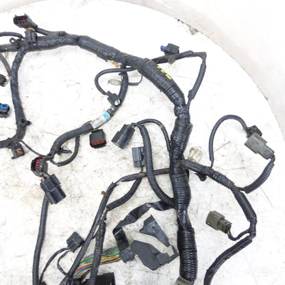 Damage 2013 2014 2015 Ford Taurus 3.5L Turbo Engine Wire Harness