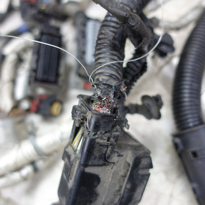 Damage 2019 Silverado Sierra 5.3L Engine Wire Harness Loom