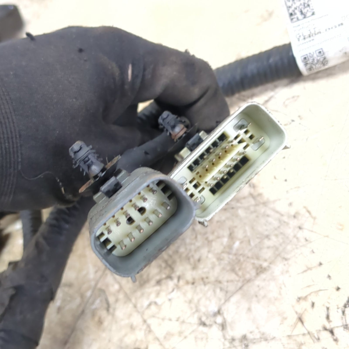 2015 2016 Ford F150 Taillight Wire Harness Wiring Loom