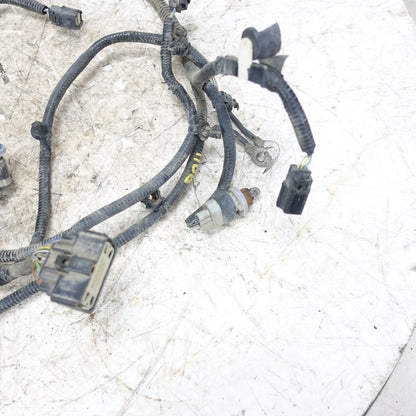 2015 2016 Ford F150 Rear Bumper License Plate Trailer Wire Harness