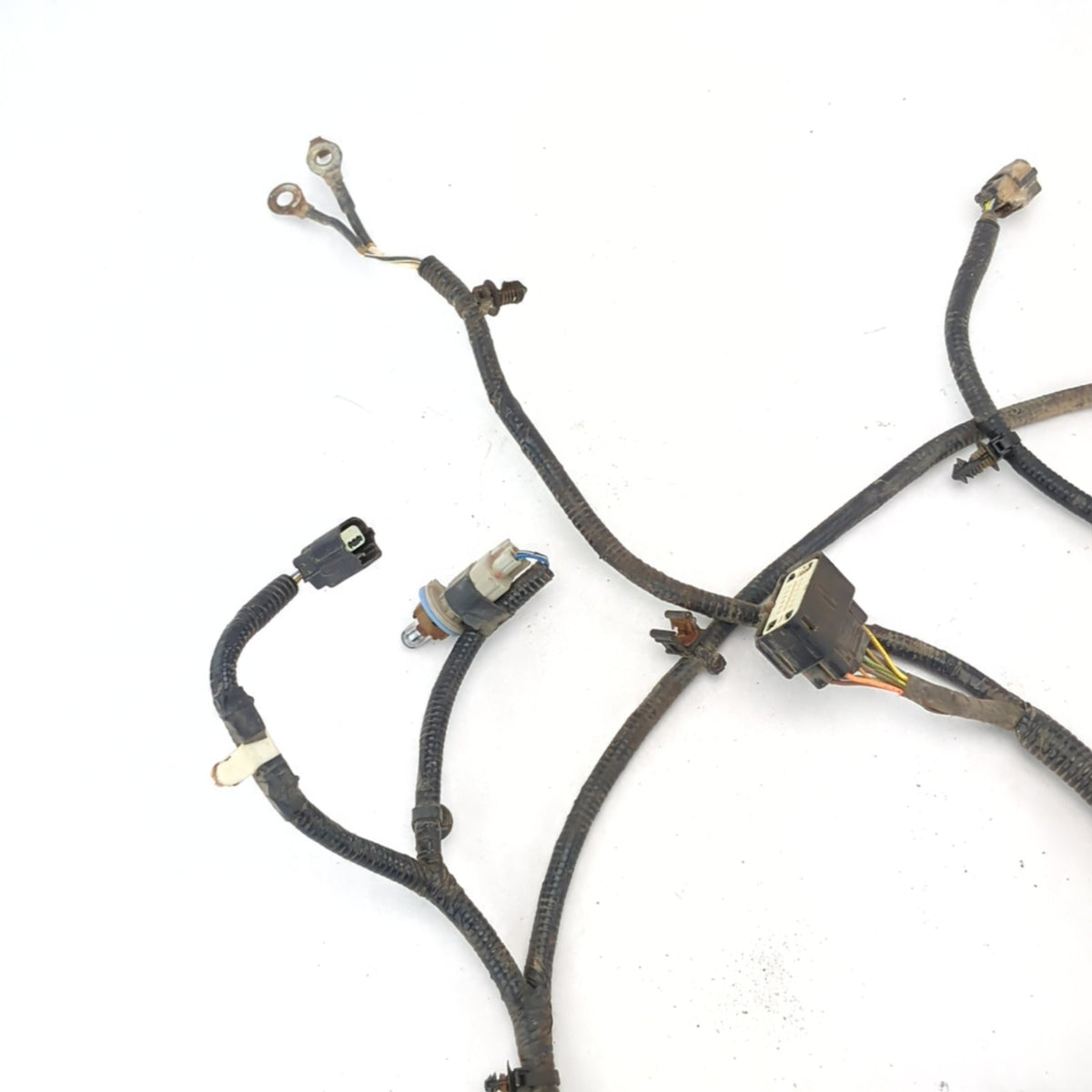 2015 2016 Ford F150 Rear Bumper License Plate Trailer Wire Harness