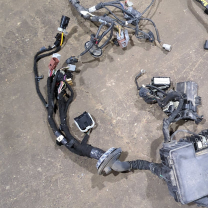 Damage 2015 Ford F150 3.5L Turbo Engine Fuse Box Bay Wire Harness Loom