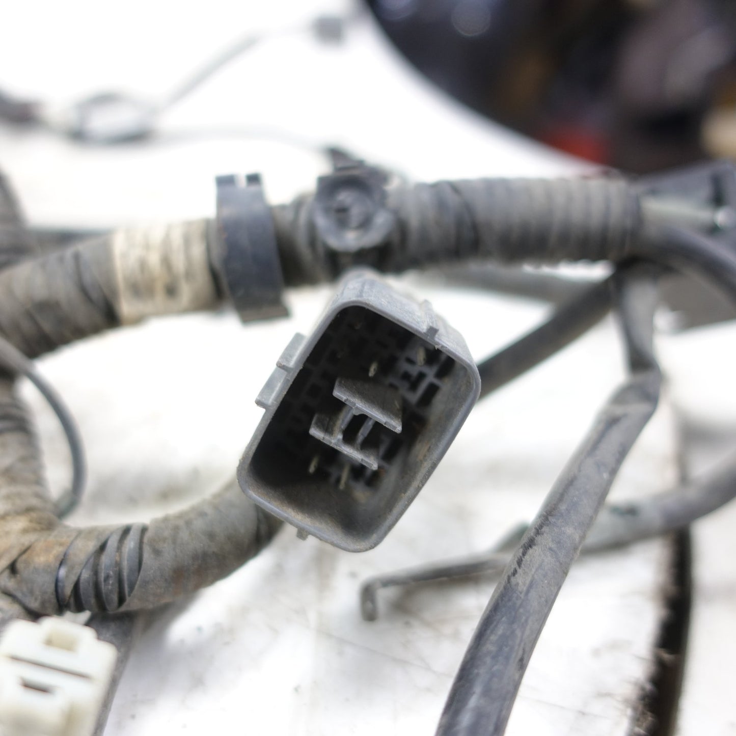 2006 Mazda 3 Body Wiring Harness Loom