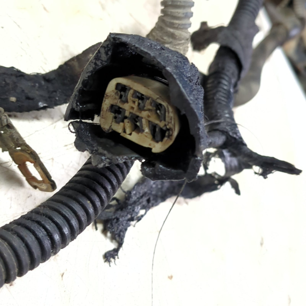 2006 Dodge Ram 2500 3500 5.9L Engine Control Wiring Harness
