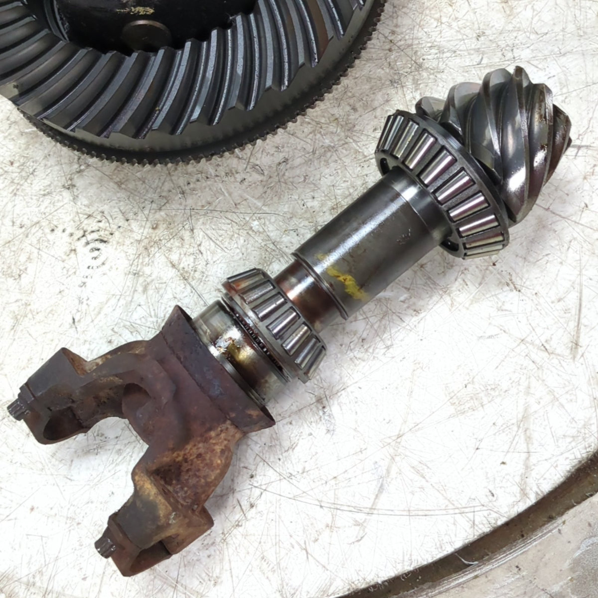 1999 2000 Ford F450 F550 Differential Carrier Pinion Gear 4.88 Ratio Open