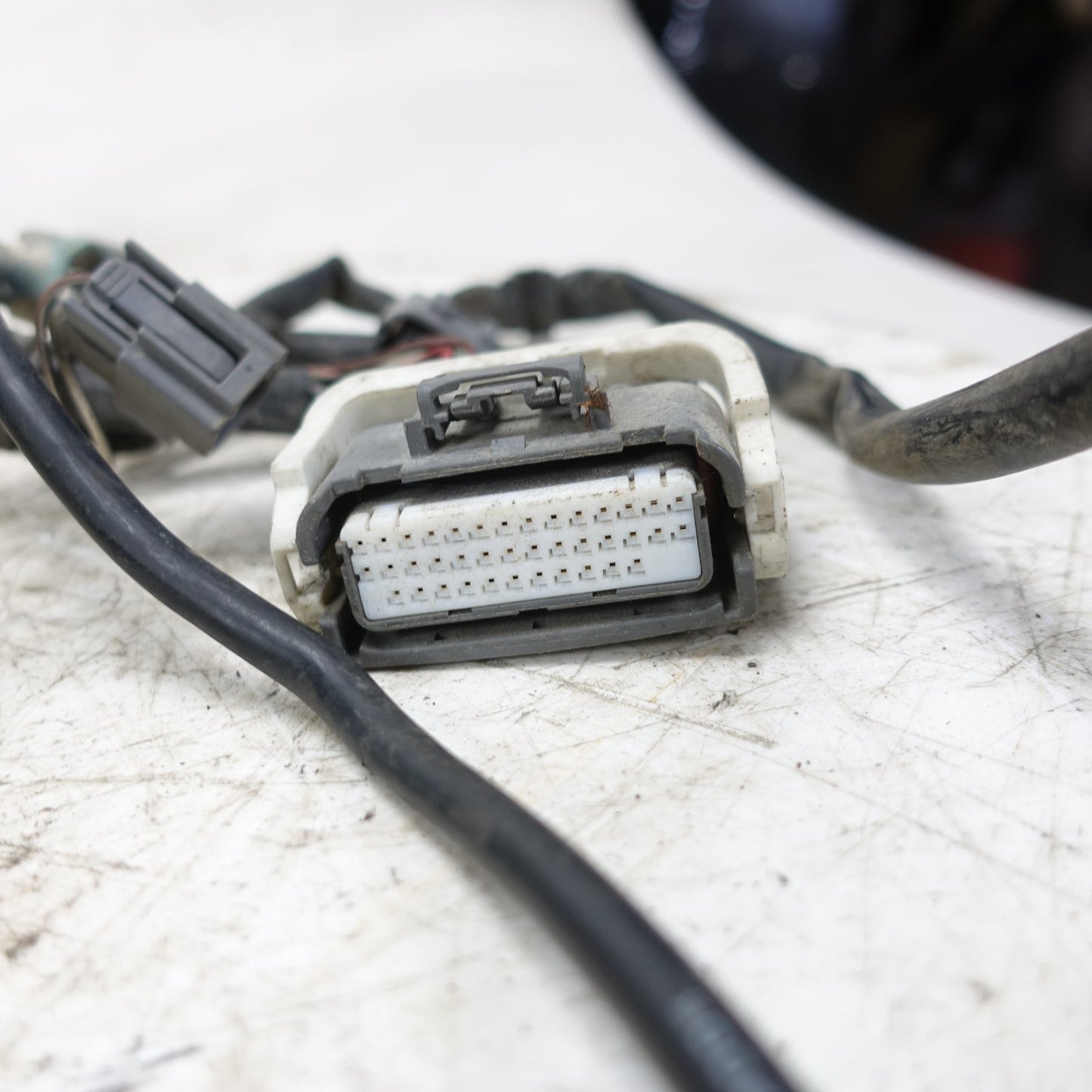2006 Mazda 3 Body Wiring Harness Loom