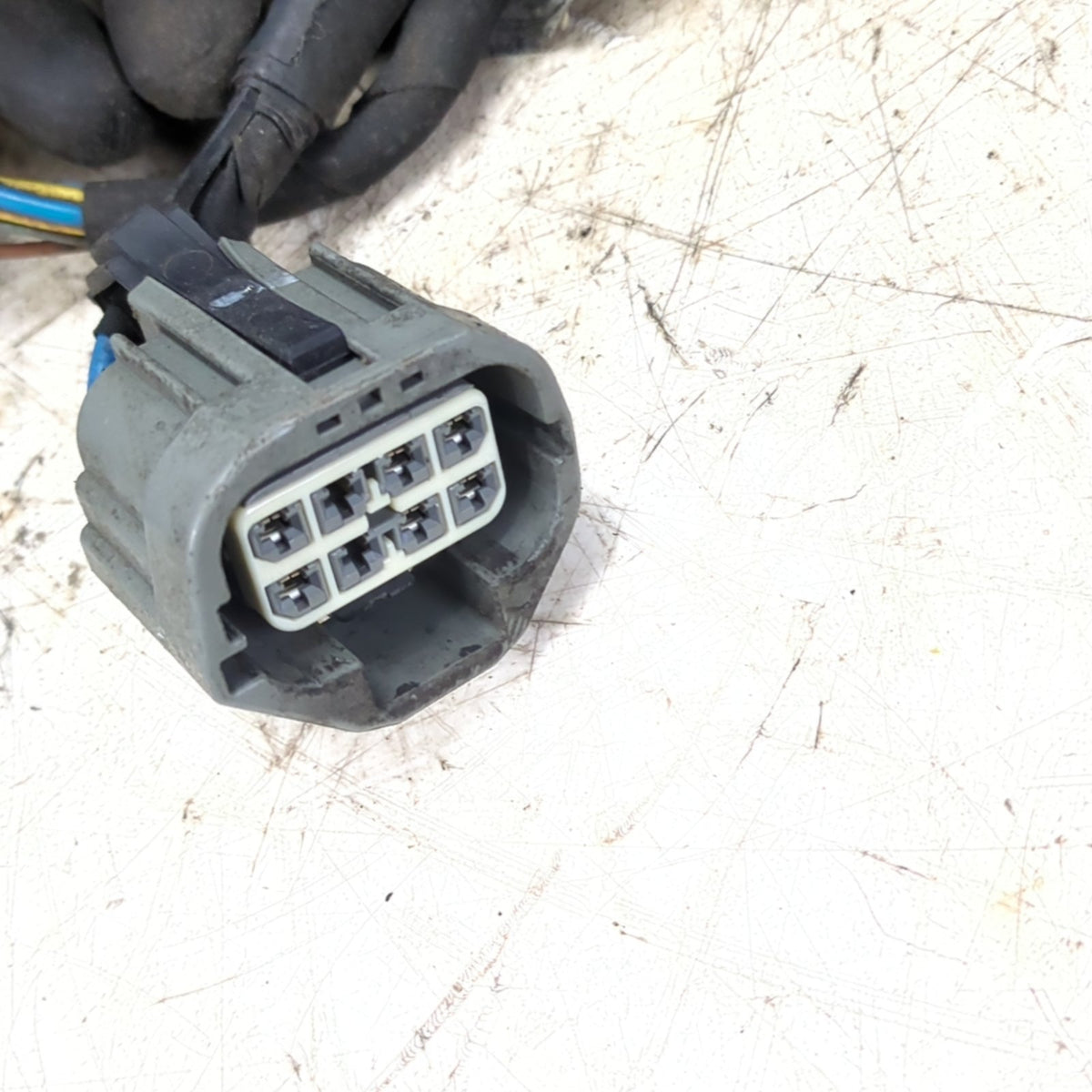 2015 2016 Ford F150 Taillight Wire Harness Wiring Loom